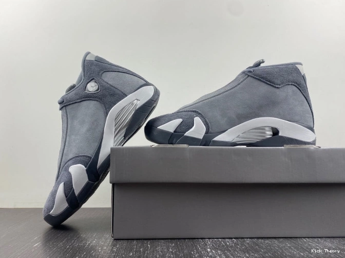 Kicktheory Flint Air Jordan FJ3460-012 Grey 14 0629